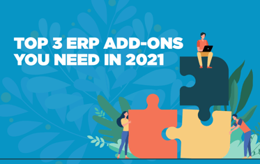 top 3 erp add-ons